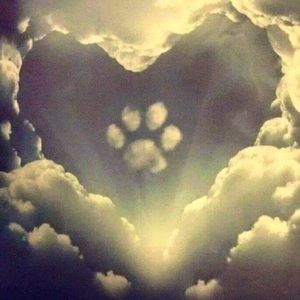 Meet your Posher, Sherry